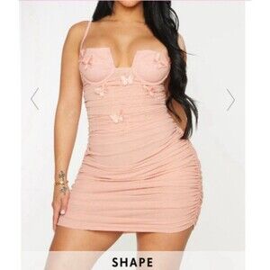 Prettylittlething Pink Butterfly Embroidered Sheer Mesh Bodycon Mini Dress 6